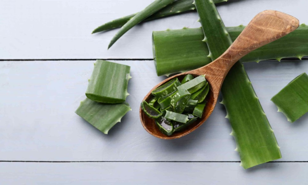 DIY Aloe Vera Beauty Hacks for Radiant Skin and Luscious Hair